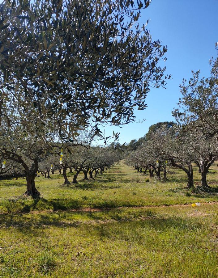 Les Hauts Du Peireguier La Motte Eksteriør bilde