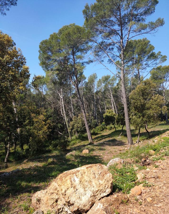 Les Hauts Du Peireguier La Motte Eksteriør bilde